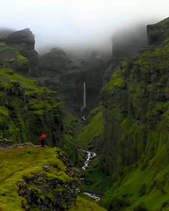 45K views · 1.3K reactions | SnuggleTails on Reels | Facebook