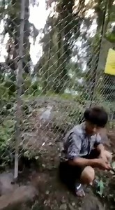 Gandhi Jayanti Cleanliness Drive cum Site Adoption Program. On the 2nd October 2021, to commemorate the Gandhi Jayanti and also carrying forward the spirit of Azadi ka Amrit Mahotsav, the Sikkim Krantikari Morcha, Youth Wing, as per the wishes of Hon’ble Party President cum Hon’ble Chief Minister of Sikkim, Shri P S Tamang and under the supervision and guidance of State Youth President, Shri Lakpa Moktan, conducted a Cleanliness Drive at Namnang Area ( Hurhurray dara upto lower Namnang Turn). We