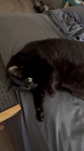 Some days she’s stin·gy /ˈstinjē/ adjectiveINFORMAL unwilling to give or spend; ungenerous. "his employer is stingy and idle" | Fat Laila