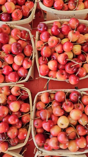 We visited Fruit Acres Farm Market & U-Pick in Coloma! You should go soon also! They have everything you need to fulfill your fruit and vegetable needs! Apple U-pick is coming soon! #SouthwestMichigan #FamilyFun #Michigan | Visit Southwest Michigan