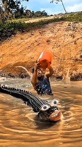 95K views · 2.1K reactions | #cocodrilo #fango #miedo | PAVO .99 | Facebook