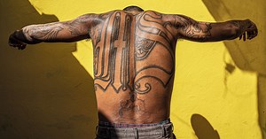 Photographer Captures the Brutality of the MS-13 Gang in El Salvador