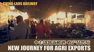 With fertile lands suitable for cultivation, a pristine natural environment, and the incorporation of advanced agricultural knowledge acquired in China, coupled with modernized farming practices, the people of Laos are embarking on a journey to explore the export of their agricultural products. | CGTN