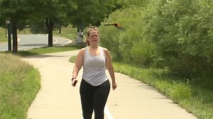 Dive-bombing bird attacking joggers near Denver
