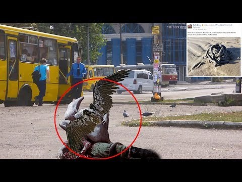 7 Mysterious Creatures Caught On Camera & Spotted In Real Life #2