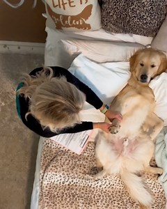 Thank you for volunteering 🐶😘 | Betches