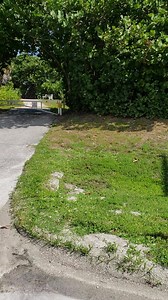 2.7K views · 71 reactions | A beautiful Saturday in The Palm Beaches as we take a short walk from Intracoastal Waterway to Atlantic Ocean. We're at Coral Cove Park, a spot perfect for swimming, boating and snorkeling. | Discover The Palm Beaches | Facebook