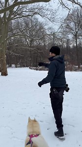 Luna, Cockapoo (9 y/o), Central Park, New York, NY • “She doesn’t like her outfit very much. The snow outfit is because she gets snowballs stuck on her. Squeaky ball is her life, and she’s really lazy. She also hates vegetables – she used to have fruits and vegetables in her kibble, and she would eject the vegetables from her mouth. Then when she realizes the good stuff is gone, she’ll go back and get them.” | The Dogist