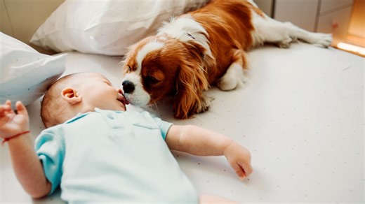 These ‘dog names’ are also popular for babies, consultant says
