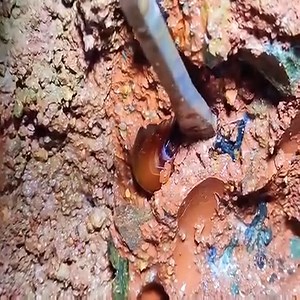 Digging diamonds in an abandoned mine | LS Fishing Pond