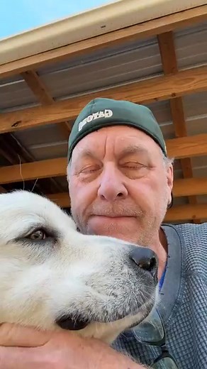 1.9K views · 67 reactions | Curt Schilling on Reels | Facebook