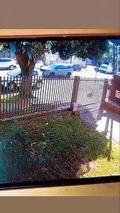 71K views · 3.6K reactions | # CASCAVEL-PR: Caminhão perde freio e...