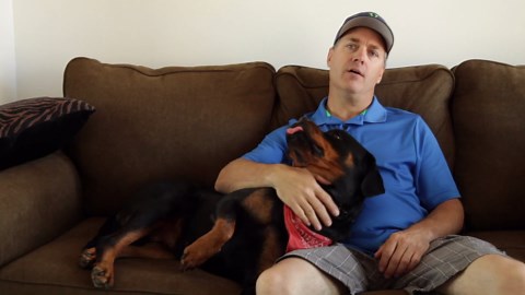 PROFESSIONAL ROTTWEILER BREEDER EXPLAINS DIFFERENCE BETWEEN GERMAN AND AMERICAN ROTWEILLERS