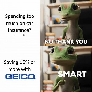 #GeckoLifeWisdom | The GEICO Gecko