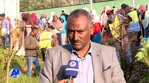 AMN Qaammee 01,2014- GUYYAA TOLA OOLTUMMAA | AMN-Afaan Oromoo
