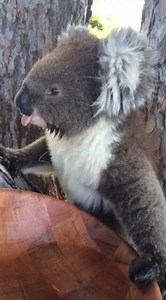 7K views · 29 reactions | Centennial Park Cemetery on Reels | Facebook