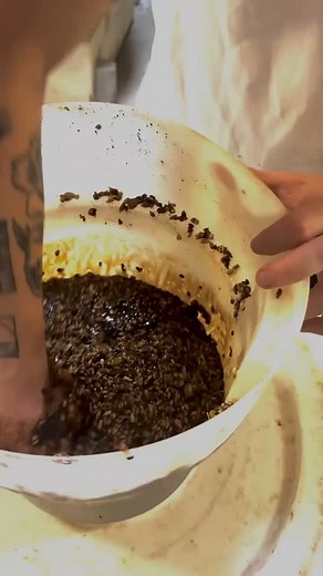 🍞 Bread of the Month: Danish Rugbread Pumpernickel! 🌾 100% organic rye flour, no yeast, no molasses, no preservatives, milk, oil, or sugar. Packed with pumpkin seeds, rye chops, and sunflower seeds. Sourdough-based perfection! 🥖 #Organic #Sourdough #Pumpernickel | Mama G's Bakeries