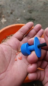 13K views · 56 reactions | How to attach fish pellet bait for fishing for carp that are difficult to catch | Yayat Giriwil Reel | Facebook