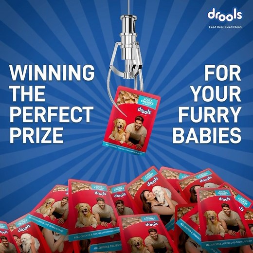 1.8K views · 22 reactions | The prize they deserve? A meal to beat the heat! ⛱️☀️ Our lip-smacking wet gravy is filled with nutrients and real ingredients that results in healthy skin and coat 﫶good digestion 領strong bone and joints Unlock the summer offer: buy 5 and get 1 free pack! #JustDroolIt #FeedRealFeedClean #NoByProducts #Drools #DroolsPetFood #PetFood #PetLovers #PetParents | Drools | Facebook