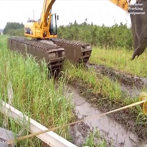 Amigos del Bosque Toro Negro Inc. on Reels