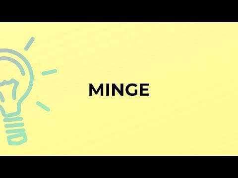 What is the meaning of the word MINGE?