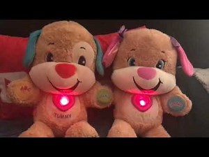 Fisher-Price Laugh & Learn Smart Stages Puppy & Sis (Older Versions and Review)