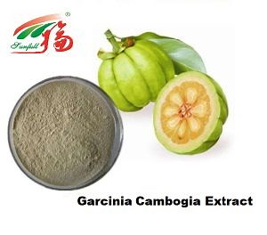 [Hot Item] Pure Natural 60% Hydroxy Citric Acid/ Garcinia Cambogia Extract Powder
