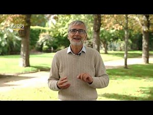 Des animaux et des hommes - L’AUROCH reconstitué — KTOTV