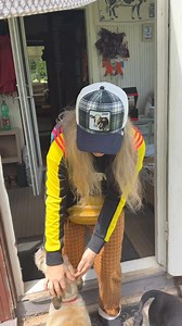 22K views · 1.2K reactions | Sutikimas | Šunų svajos | Facebook