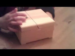 Most Useless Machine Ever