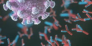 Researchers show neutralizing antibodies correlate with COVID protection