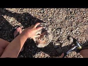 Cracking open septarian nodule Part 2