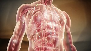 Human Acupuncture Points Dredging Meridians Acupuncture Stock Footage Video (100% Royalty-free) 3887686297 | Shutterstock