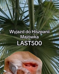 Party Camp on Reels | Facebook