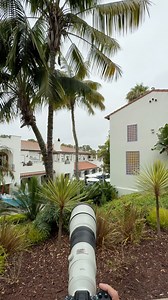 34K views · 193 reactions | A 600mm lens sees way more than we do. Spotted a wild @jasonvmedia at Sony Kando #sonyalpha #cameragear #contentcreator #camerasetup #cameragearlust #sonykandotrip | Chris Brockhurst | Facebook