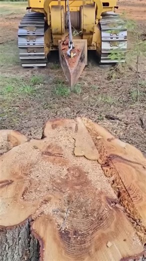 Compilation Video (@compilation_video01)’s videos with nhạc nền - Compilation Video