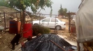 15K views · 468 reactions | ANLIK SERİK GEBİZ YUMAKLAR KOCAMEHMETLER MEVKİİ | Serik Ajans | Facebook