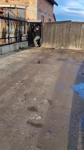 PerfectStudioAI on TikTok