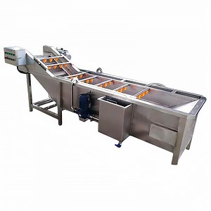 [Hot Item] Industrial Tea Leaf Peanut Leaf Washing Machine