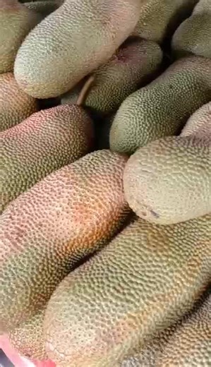 Su Myant625 บน TikTok