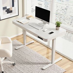 [Hot Item] Prorials Sleek Modern Design Electric Office Lift Table Assembly Sit-Stand Desk