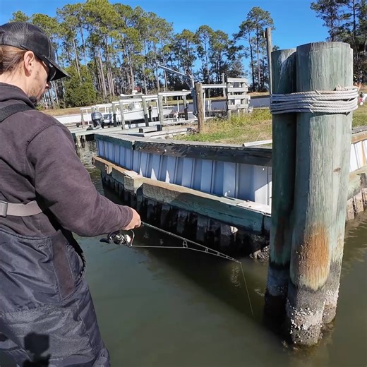 Bama Beach Bum stole my rod and caught this! | Bearded Brad
