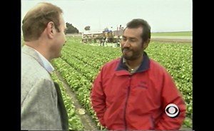 Wednesday, September 18, 1991