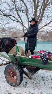 I-am cerut lu’ badea calu’! | Nicolai Cotoara