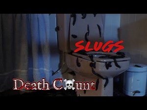 Slugs (1988) Kill Count