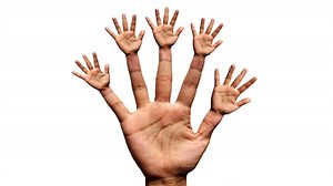 Neurotyping: Über die 5 Neurotransmitter-Typen -> Welcher Typ bist Du?