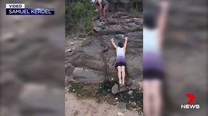 29K views · 180 reactions | A 5.3 metre scrub python has been found at Bluewater near Townsville. Samuel Kerdel and his mates got quite a surprise when they spotted the reptile in their shed. They have since relocated it back into nearby bushland. Although large, scrub pythons can grow up to seven metres in length. If you spot a wayward reptile at your place, we recommend calling a professional to relocate it. #7News | 7NEWS Townsville | Facebook