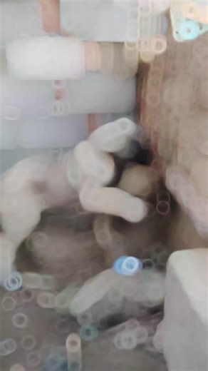 Mesmerizing video edits by Berkay Akdoğan