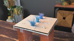 31K views · 80 reactions | Reciclaje Hecho Útil: Trucos con Cepillos de Dientes para la Higiene | Ideas en 5 minutos Familia | Facebook