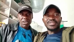 FEELINGS | Abafana Bakamzilikazi